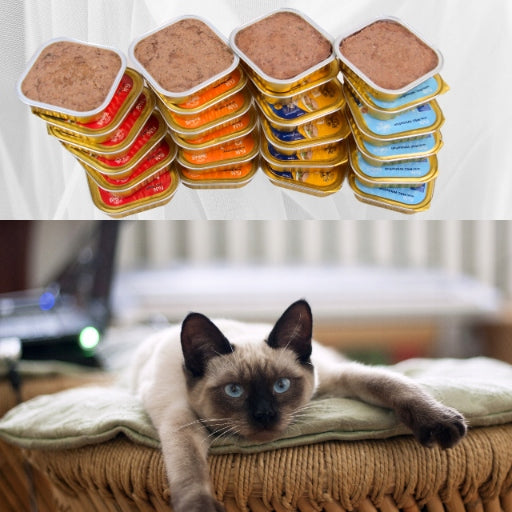 Wet Cat Food Cat Pastries Mix Flavours Pack of 48 x 100g Manufacturer code 5906479106401