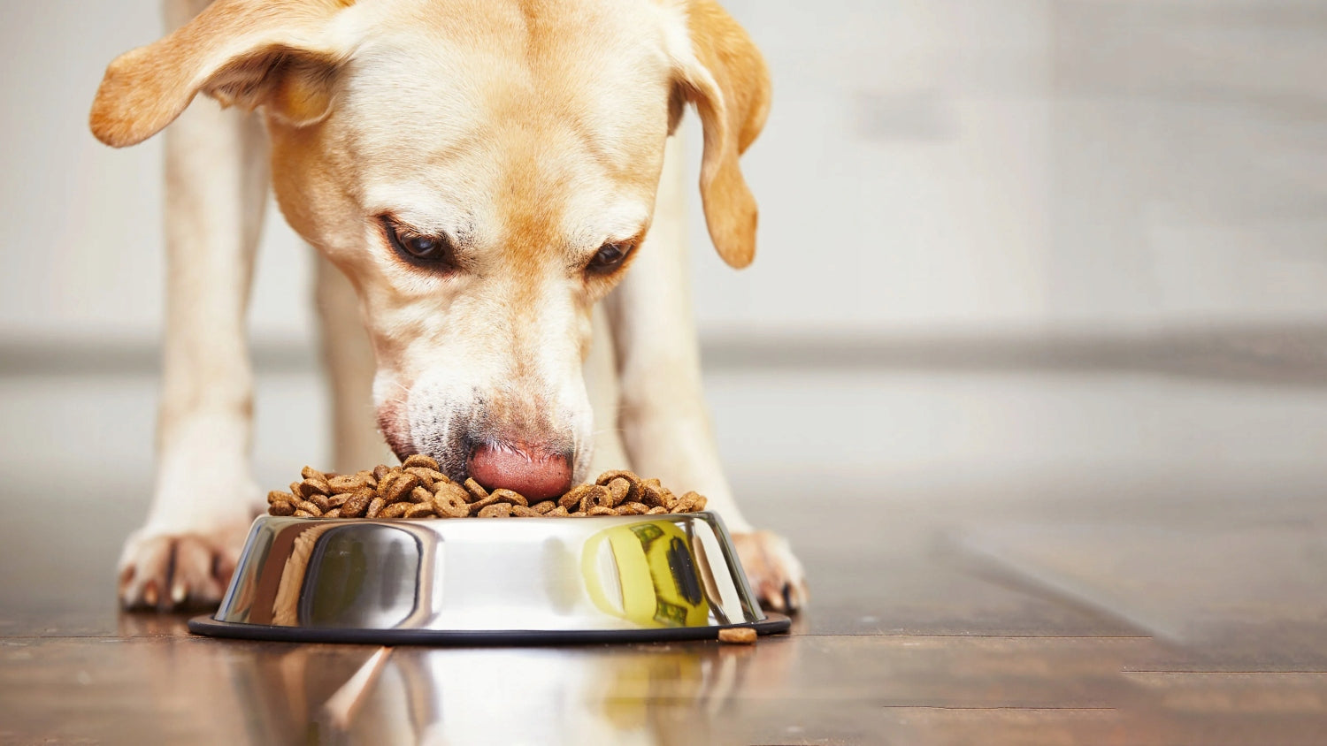 Wet dog food PIPER with duck and pear 400g Trade name other