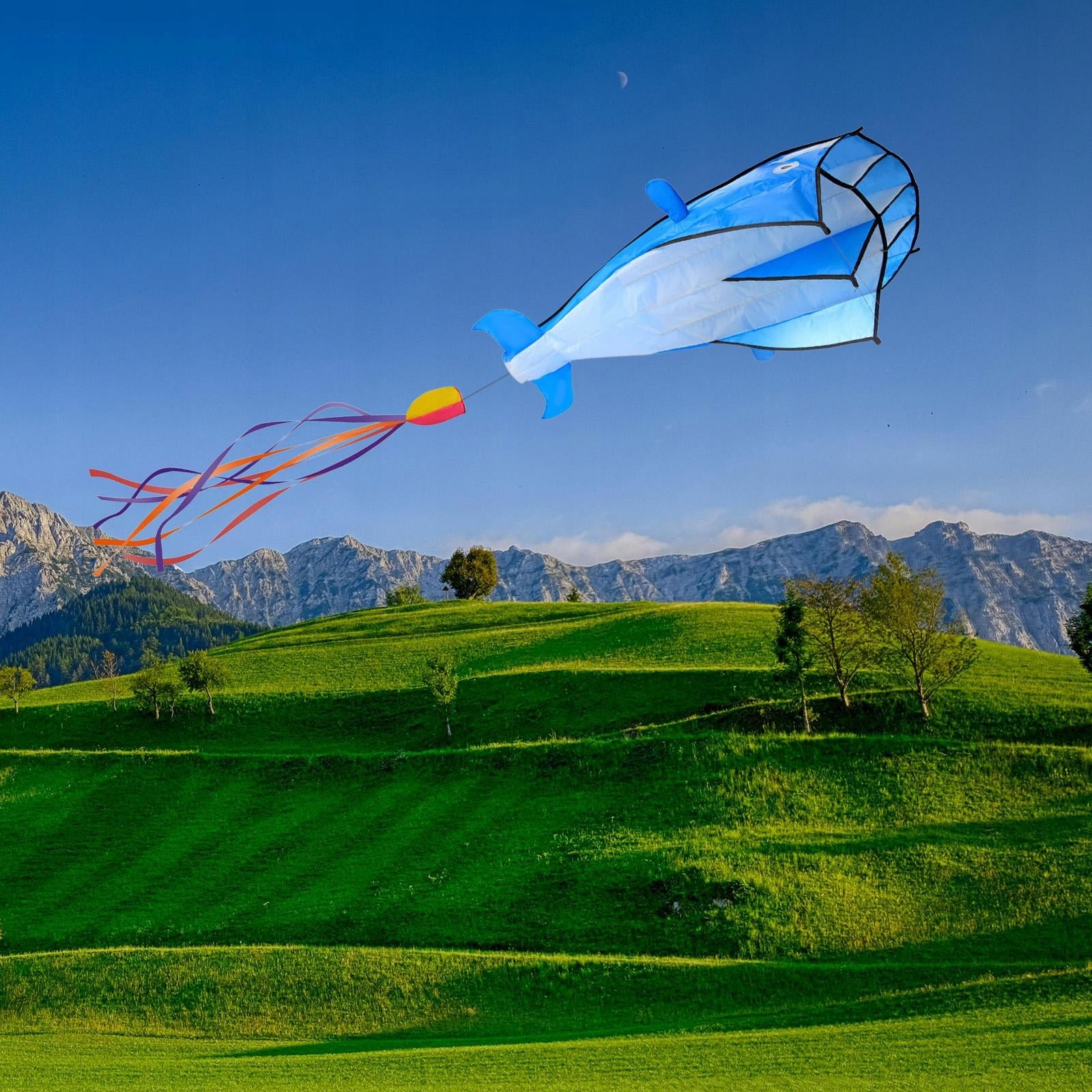 Whale Large Kite Big Creative Gift Animal Outdoor Games and Activities Character/Title other