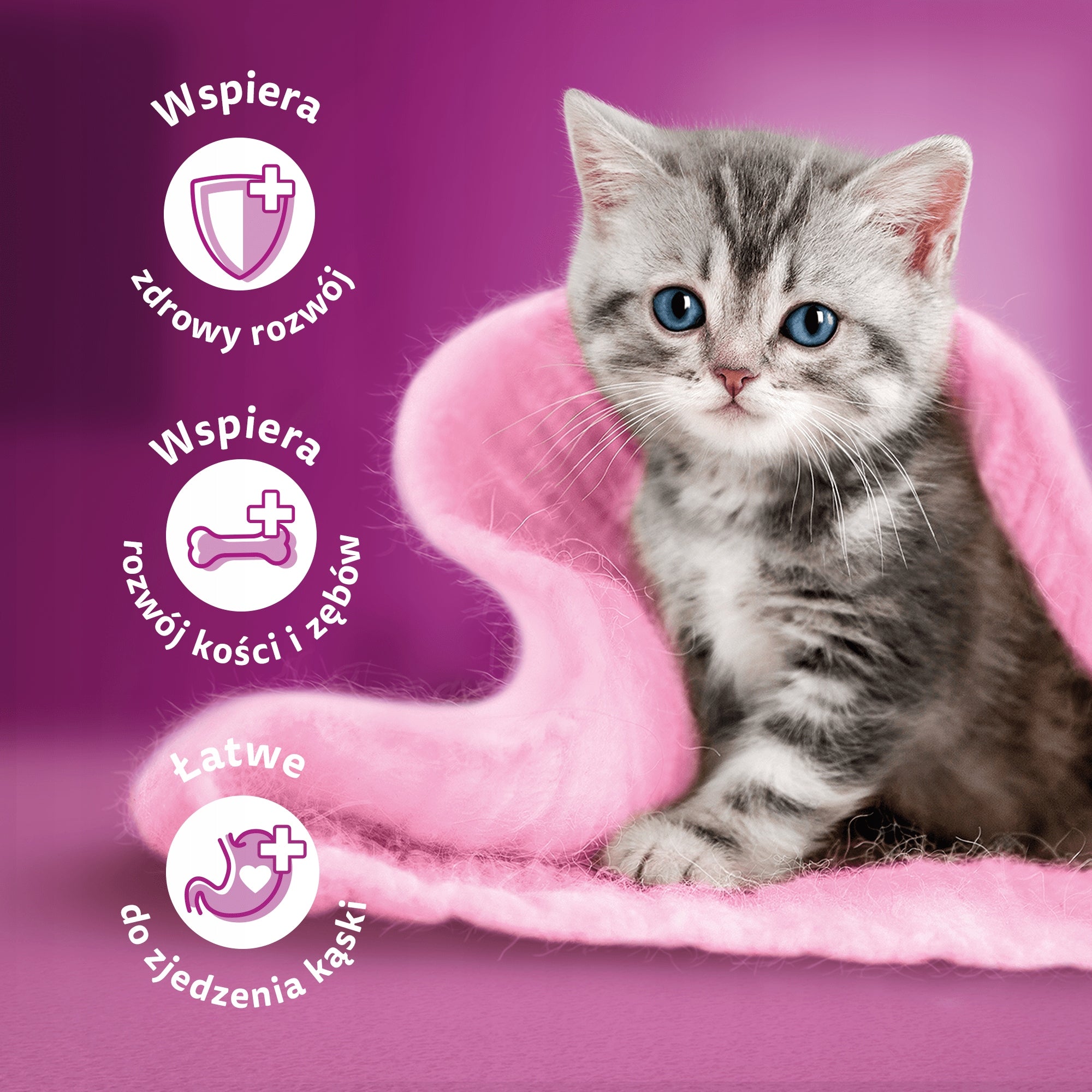Whiskas JUNIOR wet food for kittens chicken in jelly sachet 28x85 g Brand Whiskas