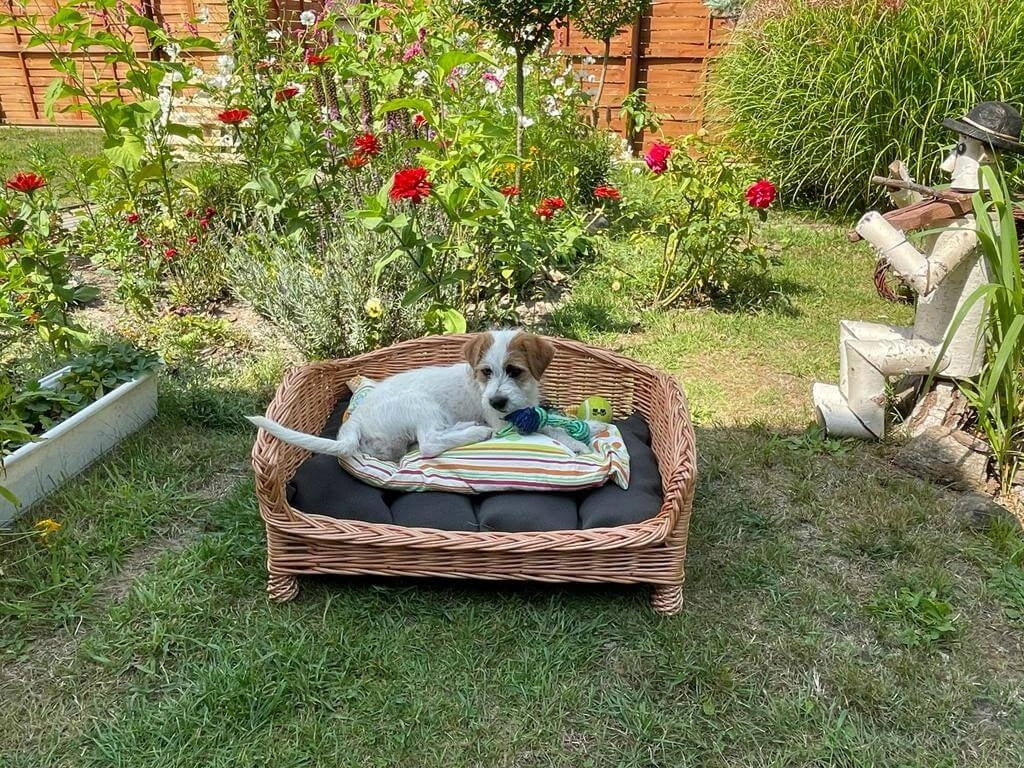 Wicker bed SOFA dog-cat lounger 50cm Brand no brand