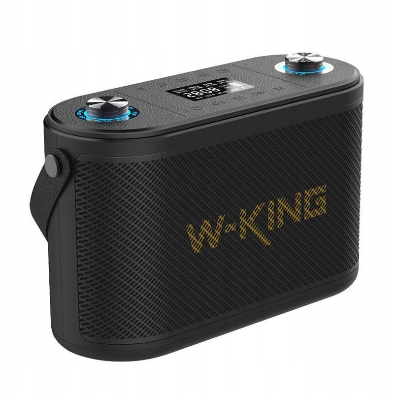Wireless Bluetooth Speaker W-KING H10 120W black Model other