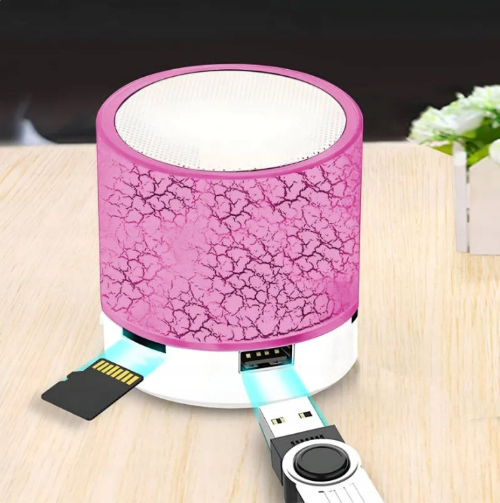 Wireless Bluetooth Speaker with MP3 Player with USB SD Card Music Packaging status original