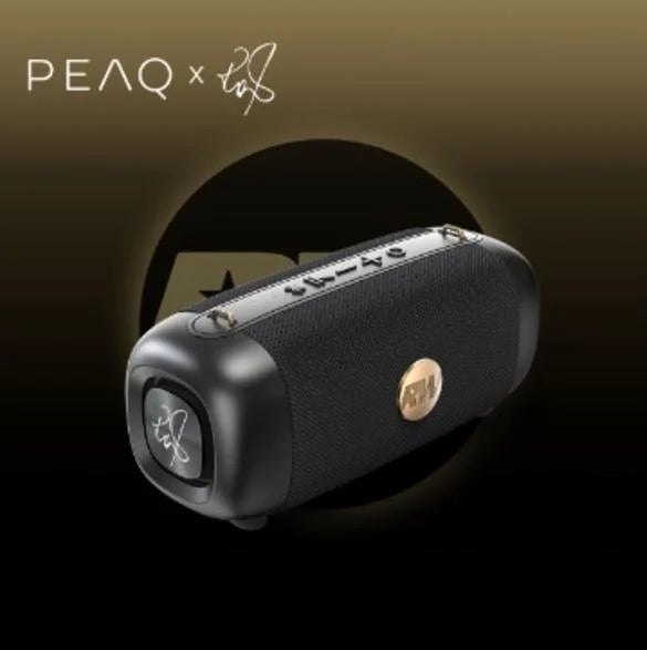 Wireless speaker PEAQ PPA 405-RW Robbie Williams Edition Black Packaging status original