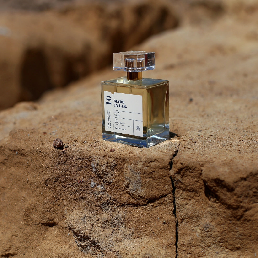 Women's Perfume MADE IN LAB 10 Perfumed Water 100ml Manufacturer code 5902693163237