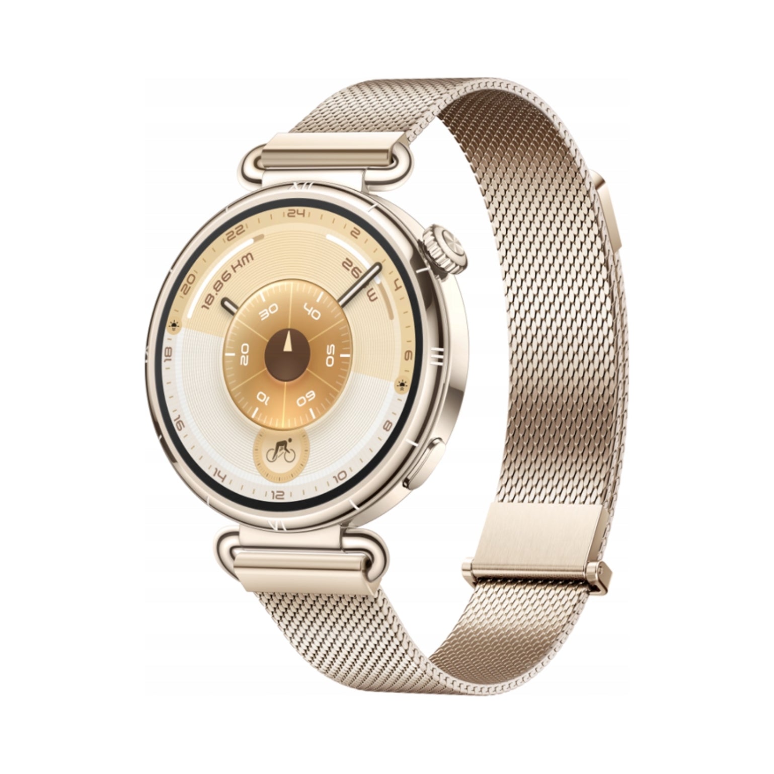 Women's Smartwatch Huawei Watch GT 6 41mm Elegant bracelet AMOLED gold