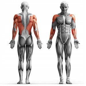 Trosinis daugiafunkcis treniruoklis Marbo Sport