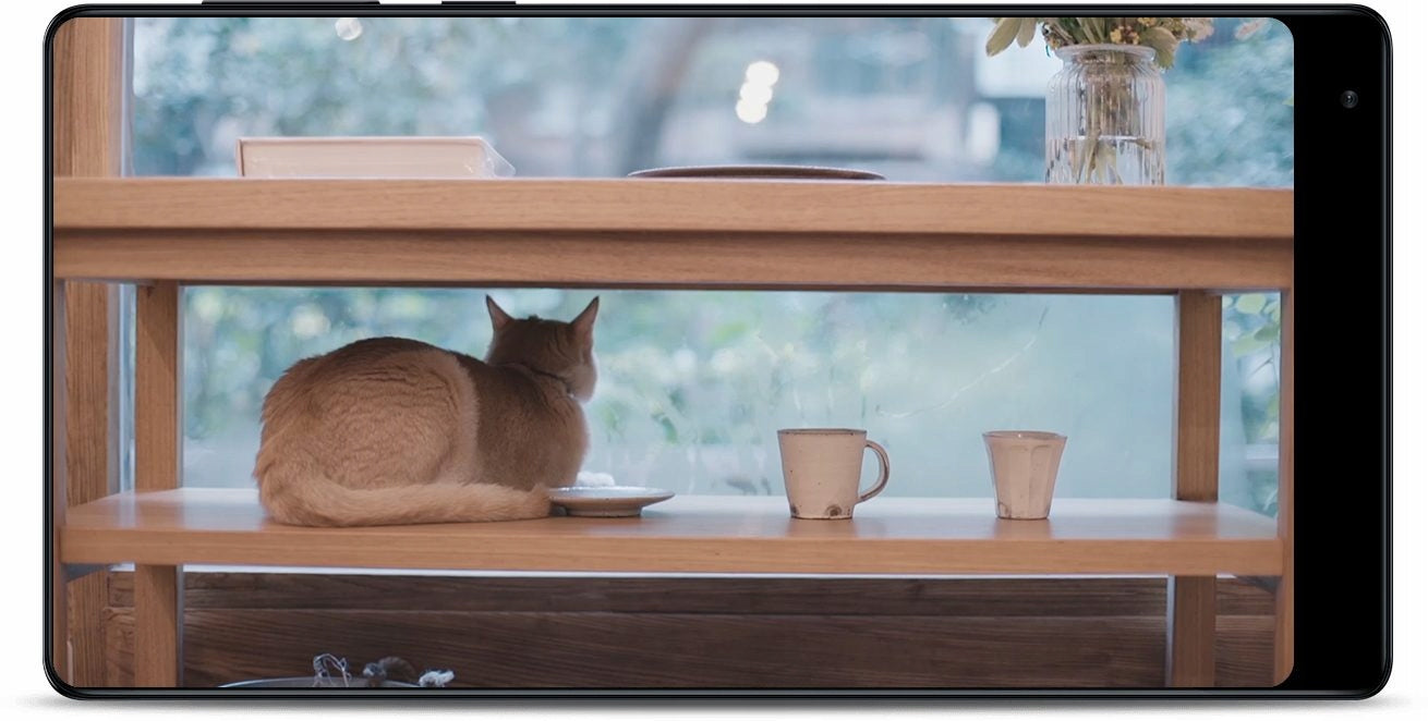 XIAOMI CAMERA HOLDER FOR CRIB Brand Xiaomi