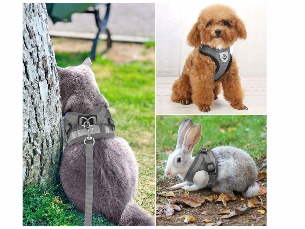XS Pressure-Free Harness for Rabbit Cat Dog Soft Reflective Leash Brand Verk Group
