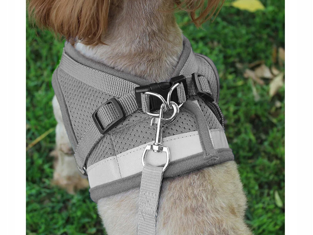 XS Pressure-Free Harness for Rabbit Cat Dog Soft Reflective Leash Trade name Szelki bezuciskowe XS