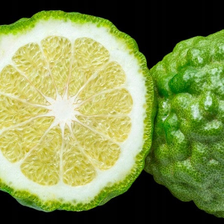 YODEYMA TENDENZE 100 ML PERFUME Manufacturer code 8436022353466