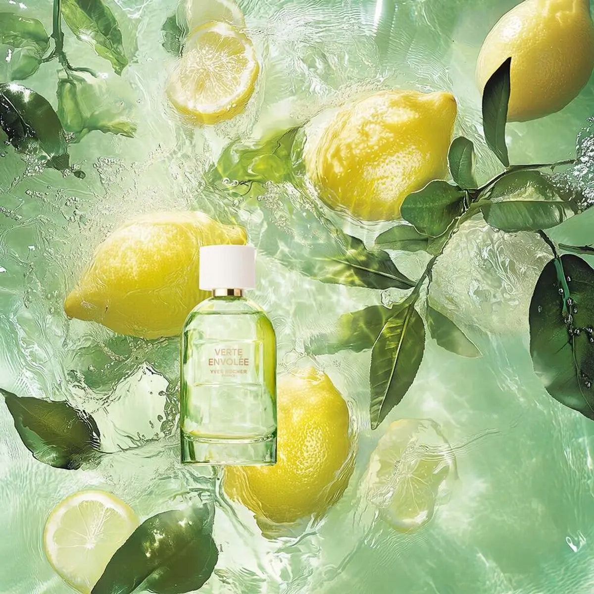 YVES ROCHER Verte Envolee Eau de Parfum 100 ml Manufacturer code 90244