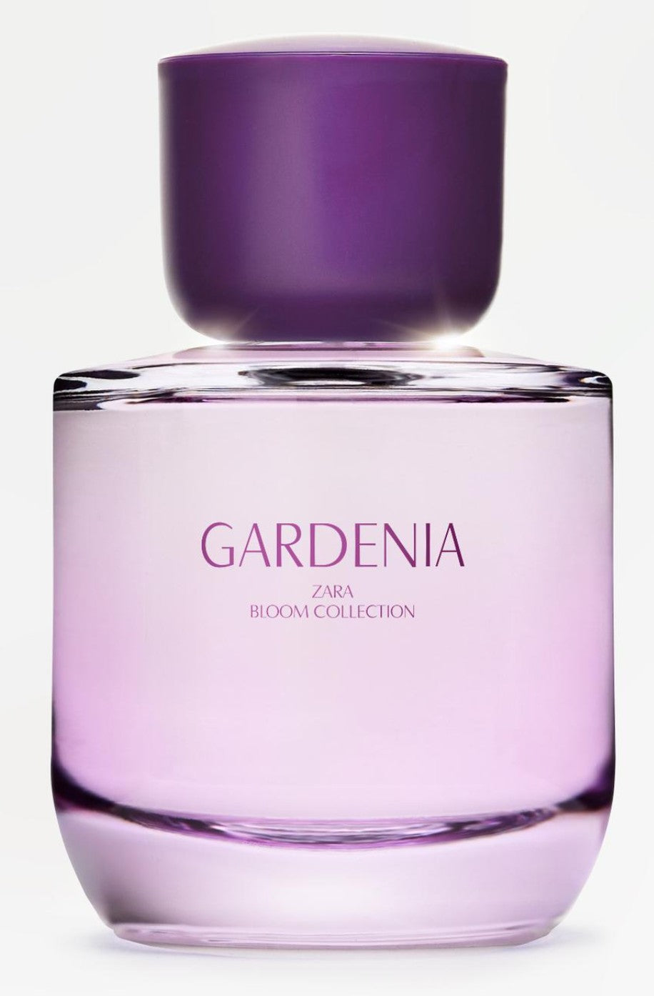 ZARA GARDENIA 90 ML PERFUME FOR WOMEN ZARA GARDENIA