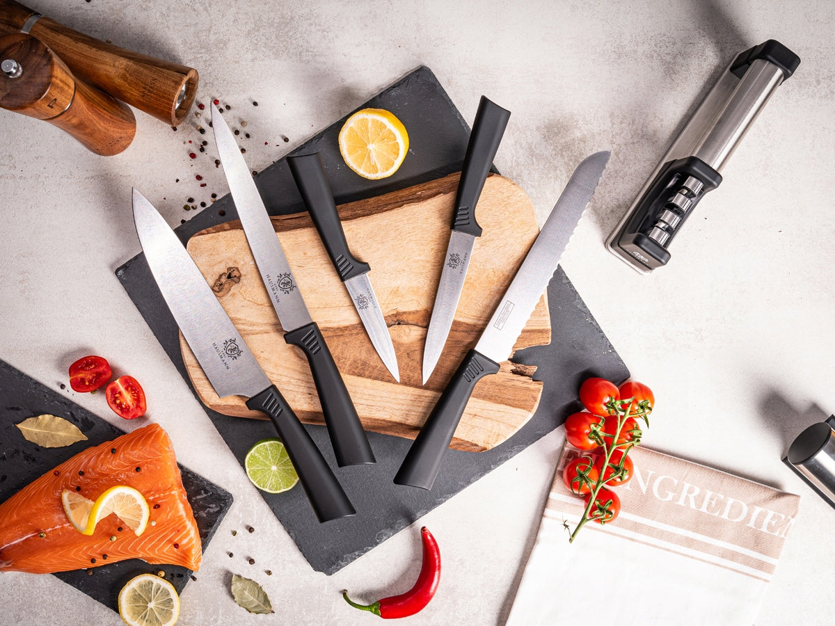 Karl Hausmann virtuvinių peilių rinkinys bloke, 5 vnt.