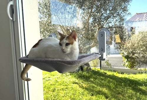 ZOLUX Cat Window Hammock RIO Grey Double Sided Bed Strong 15kg Packaging status original