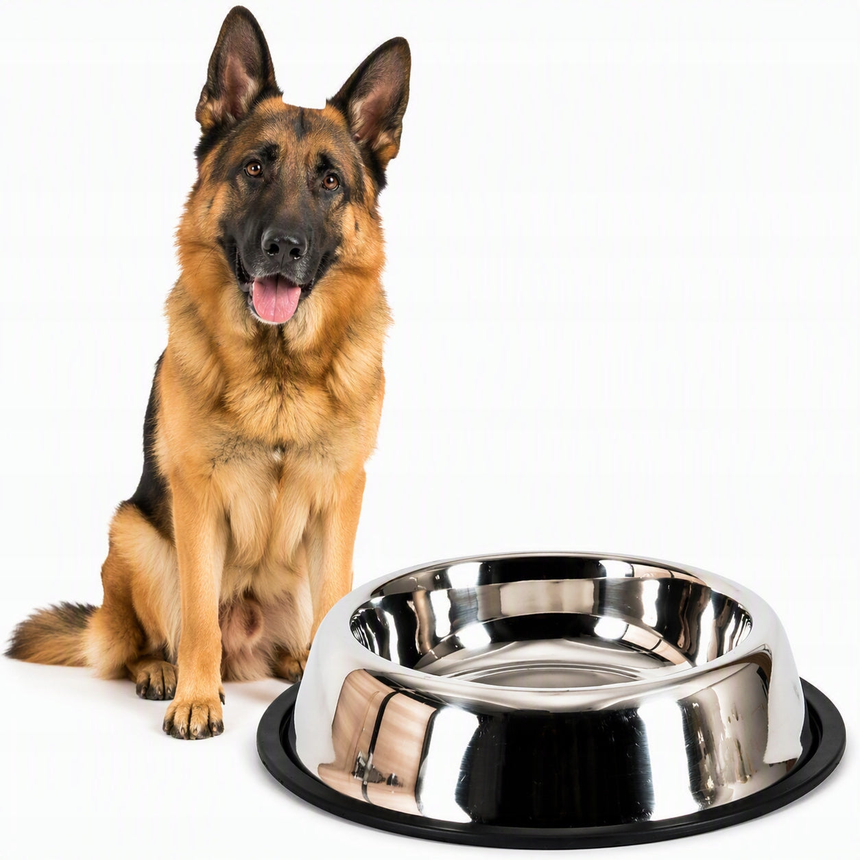ZOLUX Dog bowl inox non-slip 2,7 l 32,5 cm steel