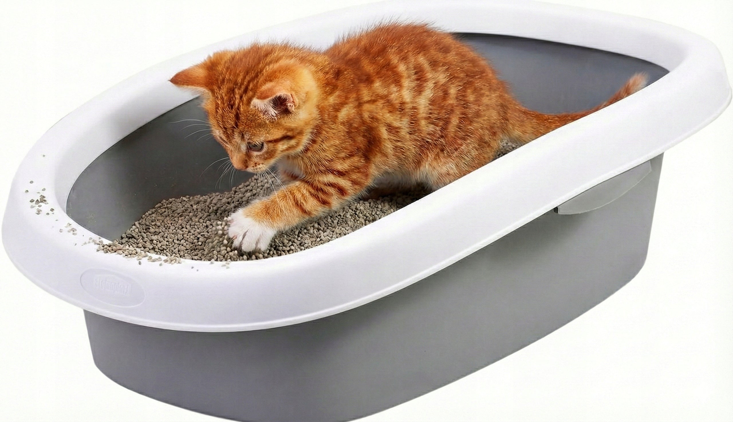 Zolux Sprint 10 Cat Open Cuvette with Frame Grey ROOMY Solid Trade name kuweta otwarta