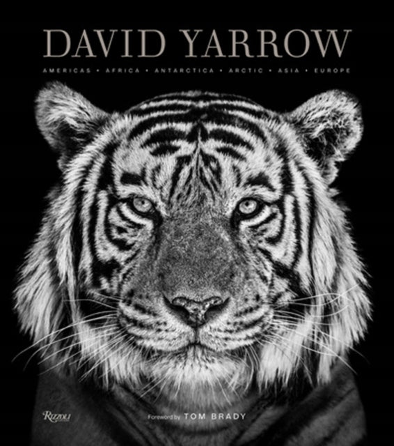 David Yarrow Fotografie: Amerika, Afrika, Antarktis, Arktis, Asien, Europa