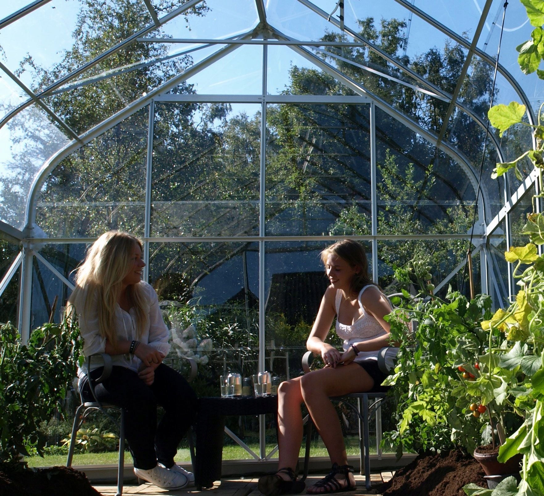 acm Greenhouse Diana black 9,9 m2; 2,57 x 3,83 m tempered glass + base Packaging status original