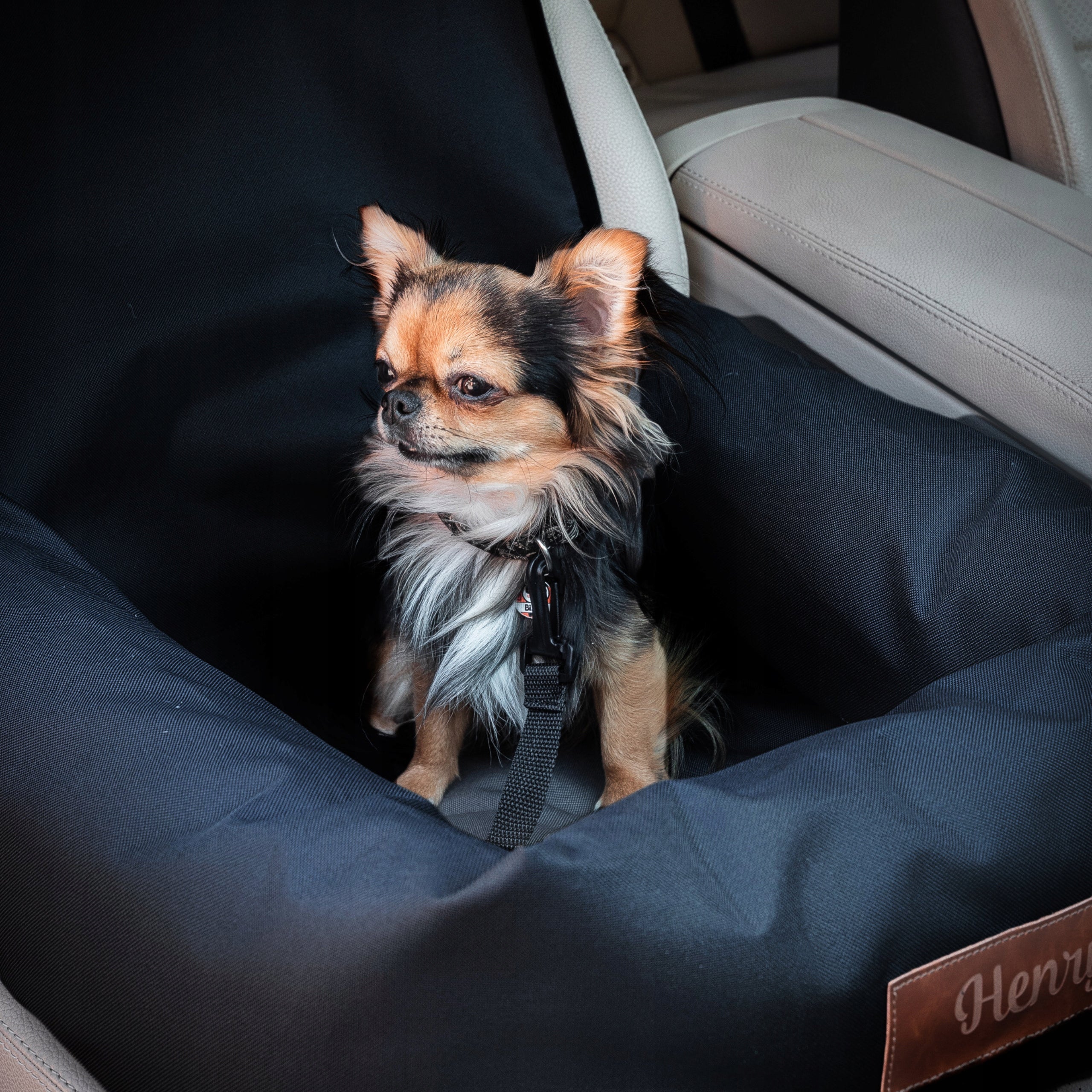 dog car seat transporter PREMIUM engraving FREEBIE name leash Product height 15 cm