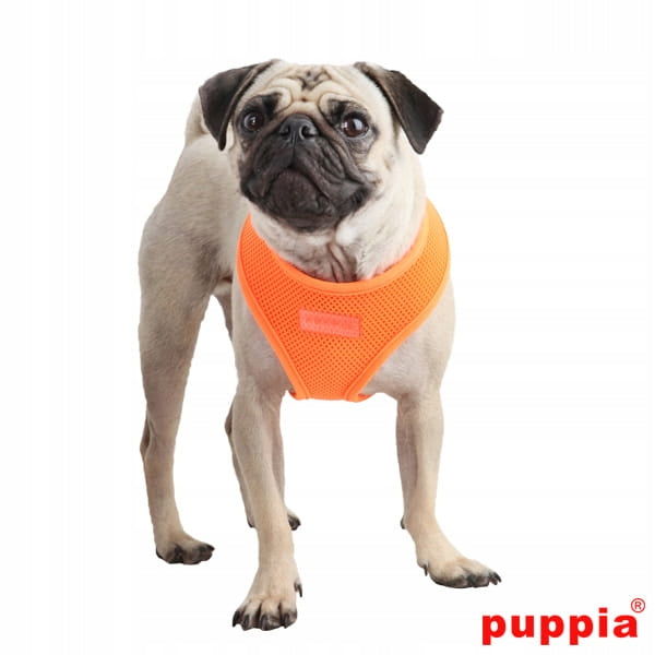 dog/cat harness PUPPIA neon orange M Dog size small dog