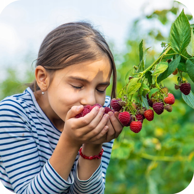 fertilizer for STRAWBERRIES 2kg under strawberries raspberries Siarkopol Garden 2001 Manufacturer code 5905548692647