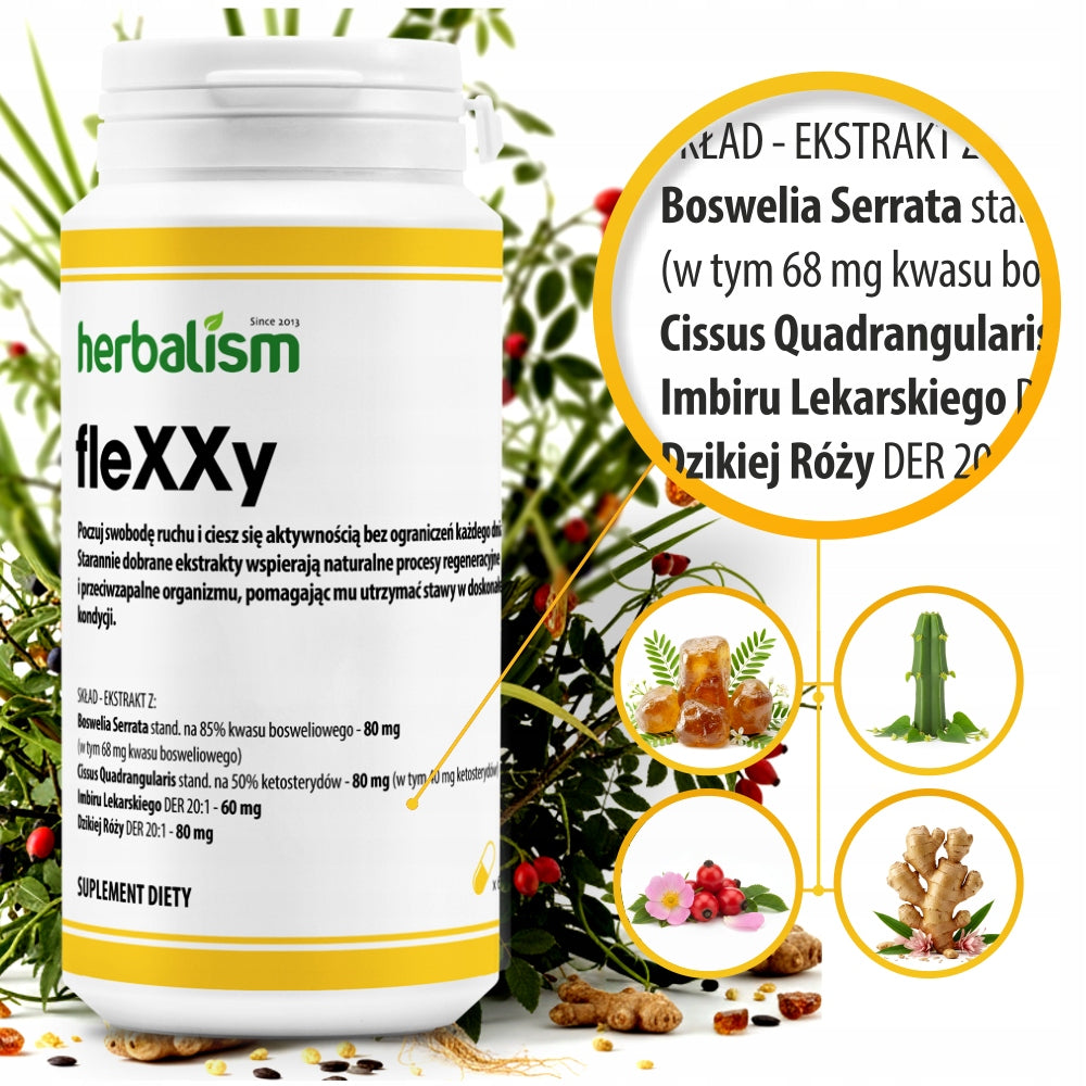 fleXXy JOINTS - PAIN - FLEXIBILITY - RECONSTRUCTION Brand no brand