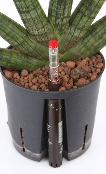hydroponics set, cartridge 15/19 + indicator h19 SET Product height 19 cm