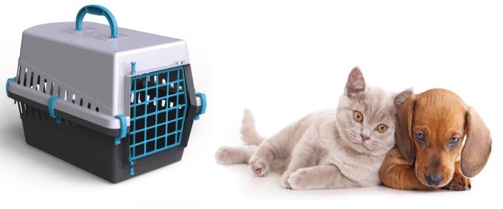 transporter for cat dog RABBIT CHINCHILLA FERRETS Product width 32 cm