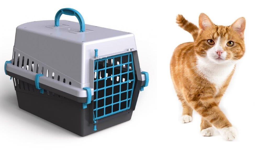 transporter for cat dog RABBIT CHINCHILLA FERRETS