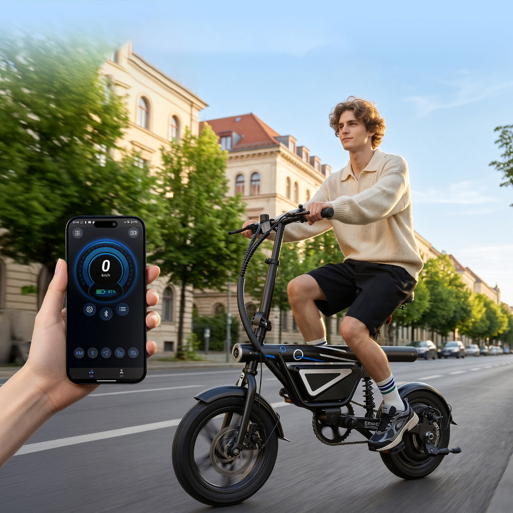 vehicle electric Folding Electric Vehicles 36V/10Ah to 45km Foldability partially assembled, calibrated
