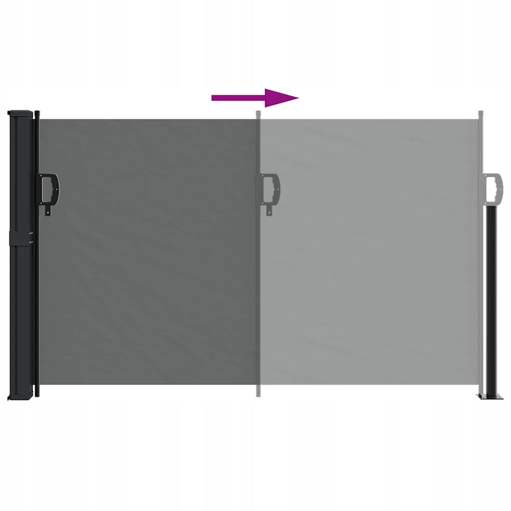 vidaXL Retractable side awning, anthracite, 117x300 cm Manufacturer code 4004293