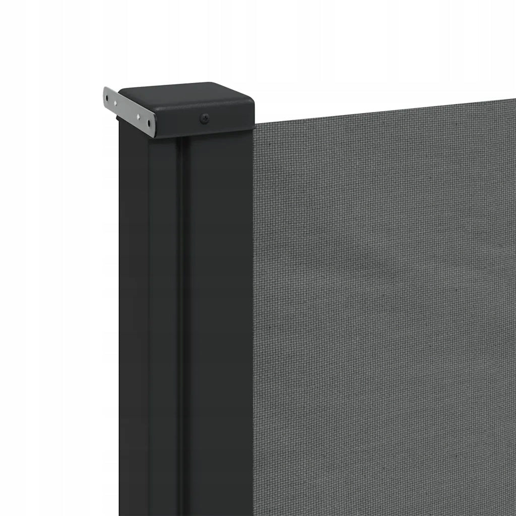 vidaXL Retractable side awning, anthracite, 117x300 cm Product height 1 cm