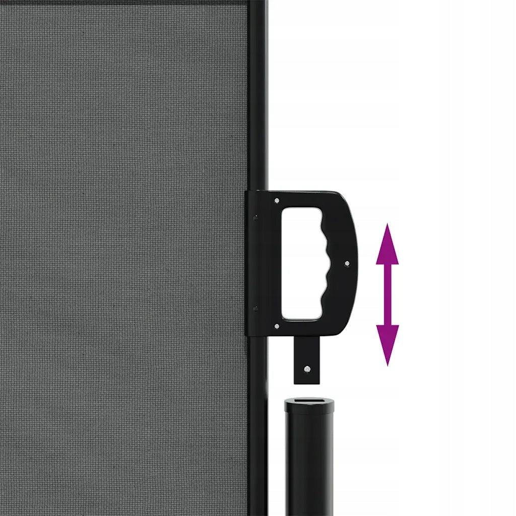 vidaXL Retractable side awning, anthracite, 117x300 cm Product weight with unit packaging 5.2 kg