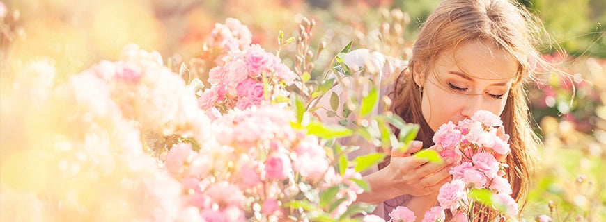 women's perfume PROUVE No. 73 - inspired + perfume list EAN (GTIN) 59028461010730