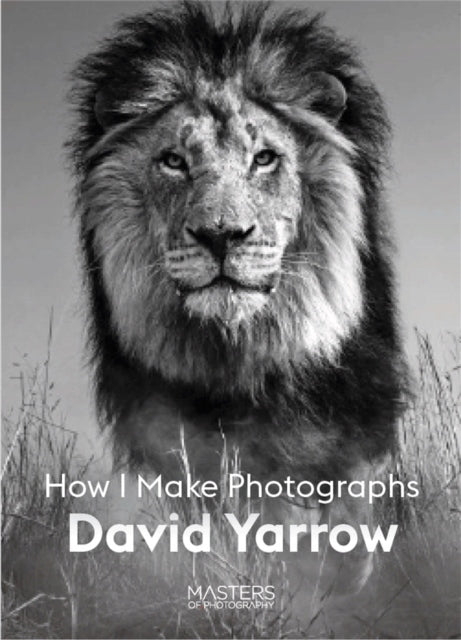 David Yarrow: Wie ich fotografiere 