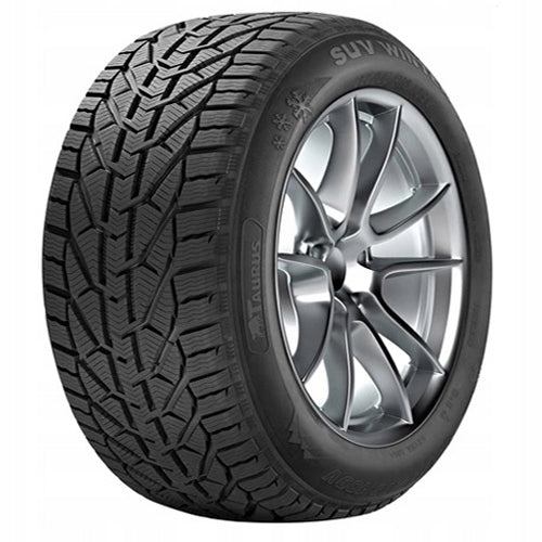 1 Winter tyre Taurus WINTER TAURUS 195/60R15 88T 2022