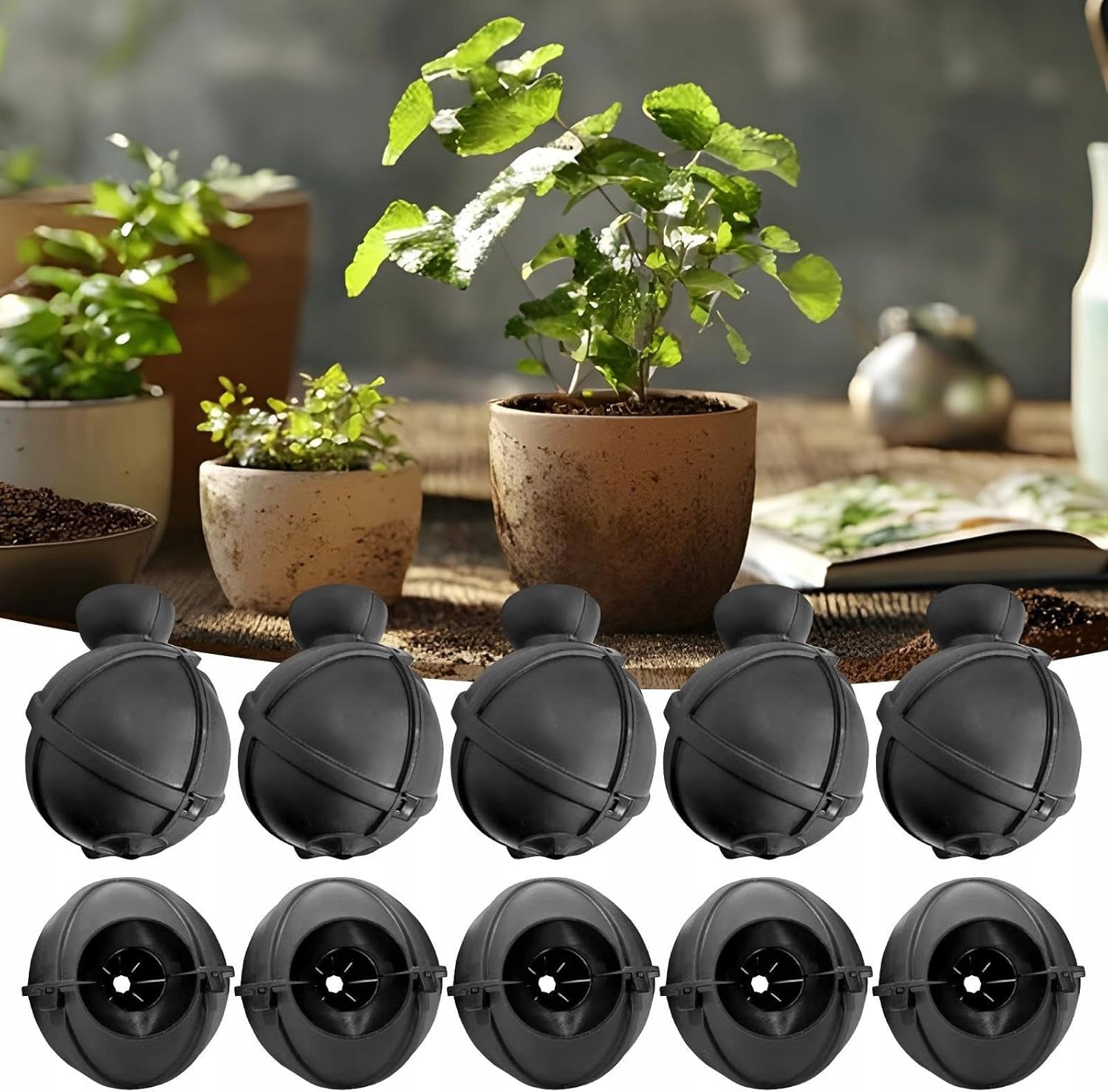 10 CM BALLS FOR ROOTING SEEDLINGS REPRODUCTION X10