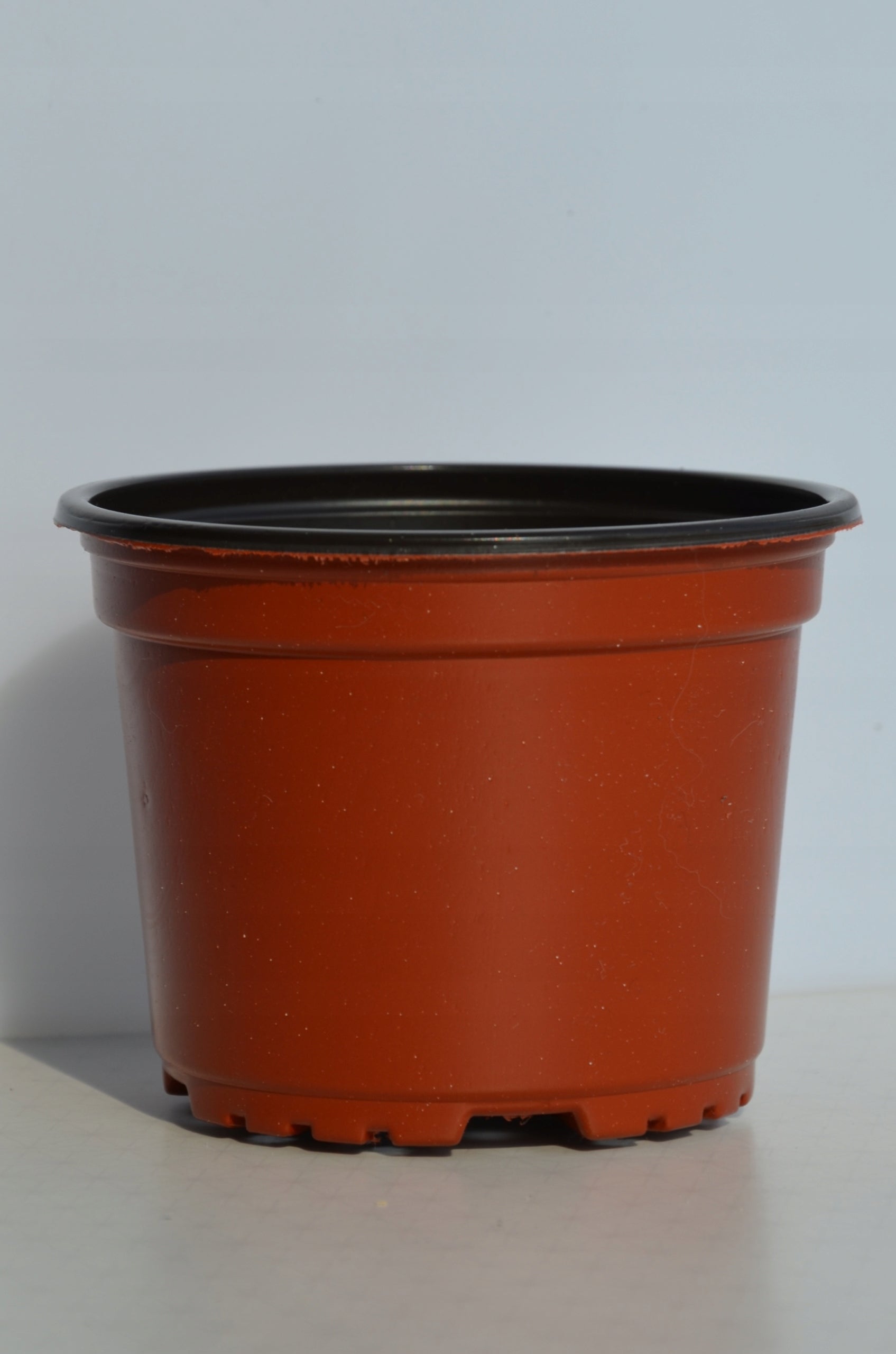 100 pcs PRODUCTION pots 9 round P9 seedlings for seedlings sowing crops Product width 9 cm
