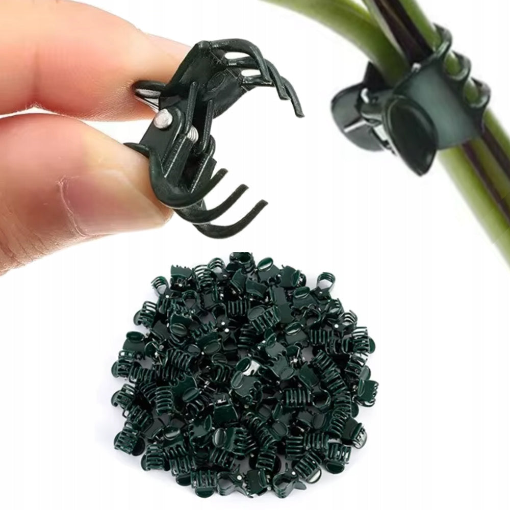 100PCS CLIPS FROG CLIPS FOR CLIMBING ORCHID ATTACHMENT PLANTS