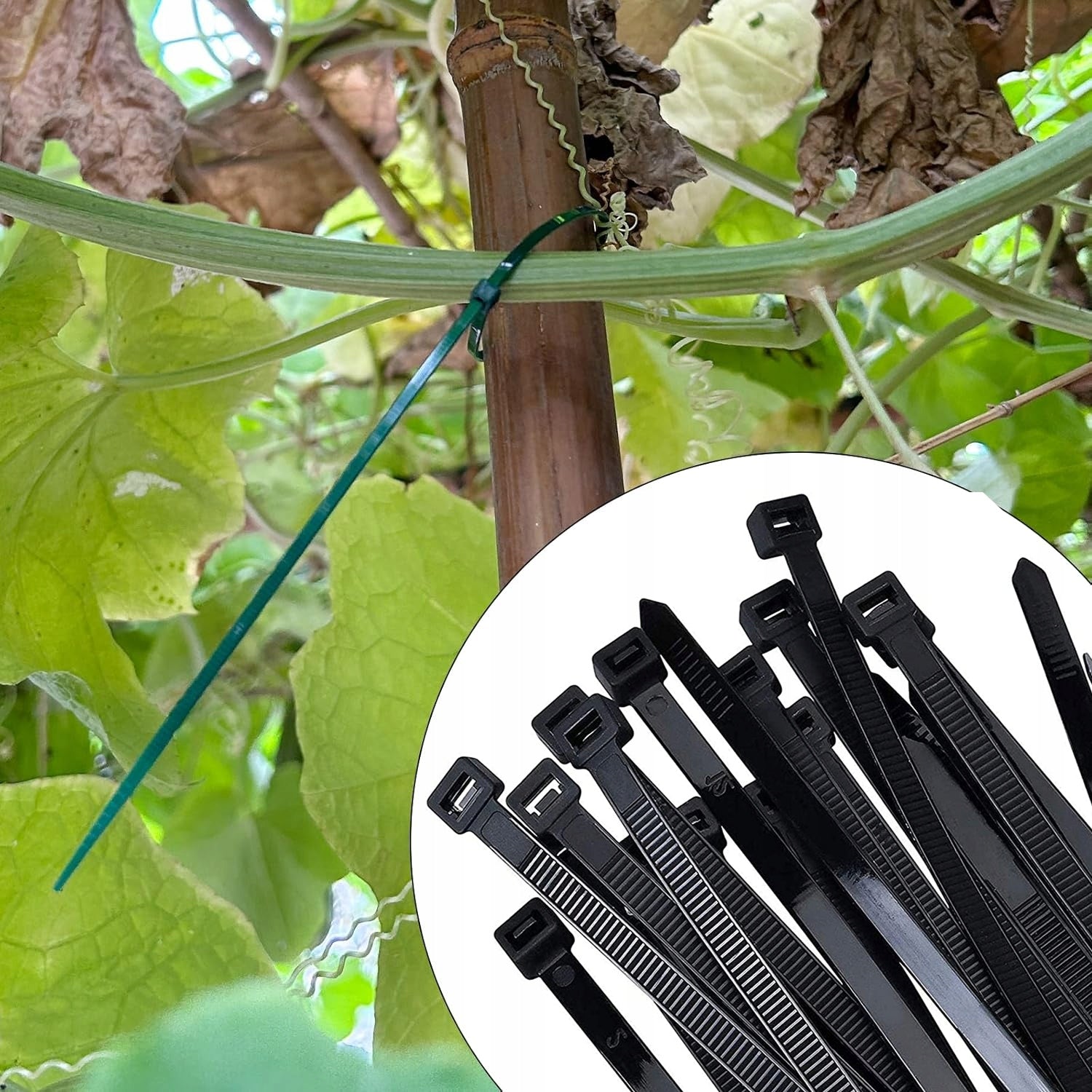 100x CLAMPS FOR TOMATO PLANTS GARDEN TRITITES CUFFLINKS 100pcs Product height 20 cm