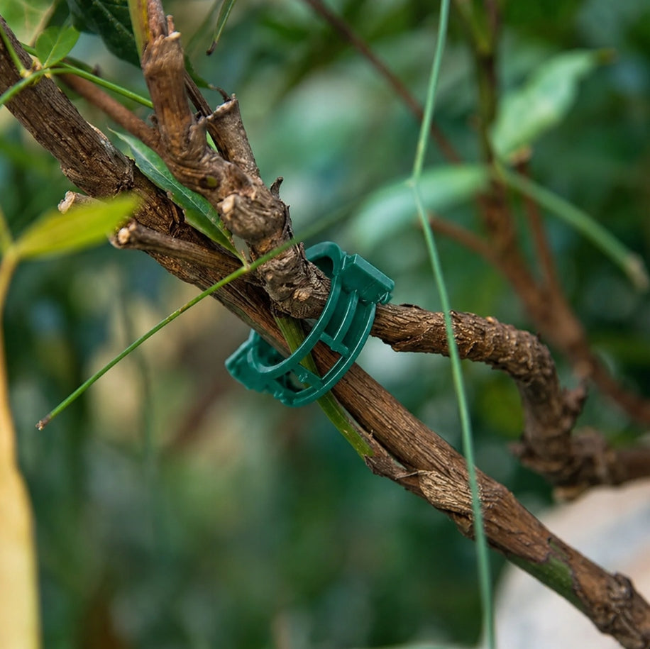100x CLASP CLIPS FOR FIXING CUCUMBER TOMATO PLANTS FOR LIGATION Packaging status original