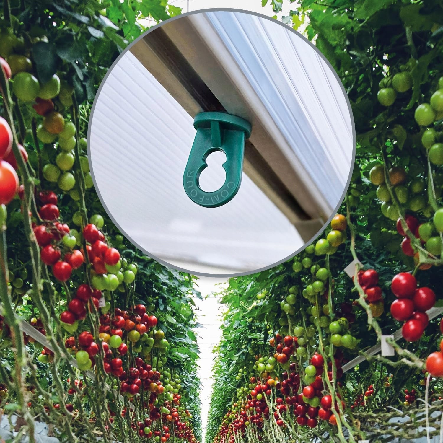 100x greenhouse clips - stable handles for plants with a large load capacity - urz