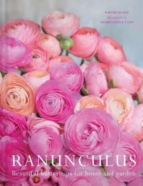 Ranuculus: Wunderschöne Sorten für Haus und Garten 