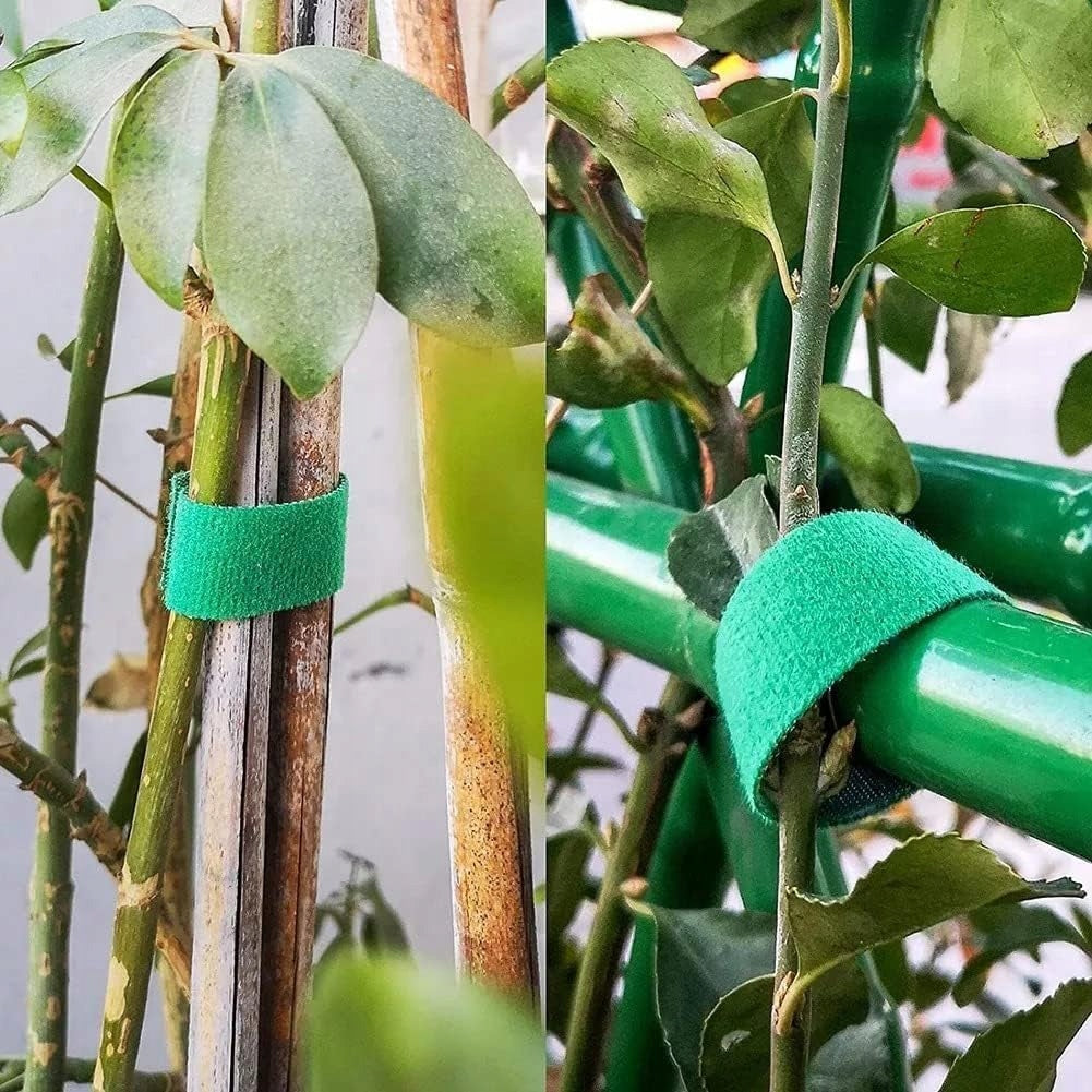 10X Gardening Tape Velcro For Binding Tomatoes Plant Binding NEXA Product width 1 cm