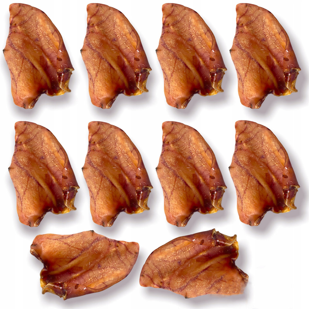 10pcs Ears Dried Pork Natural Ear Teether Dog Treat