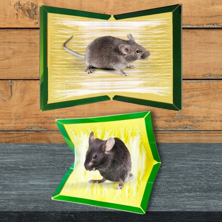 10x MOUSETRAP STICK PAW MOUSETRAP RATS ECO ON RODENTS FOR HOME Manufacturer code LEP NA MYSZY PUŁAPKA NA SZCZURY GRYZONIE