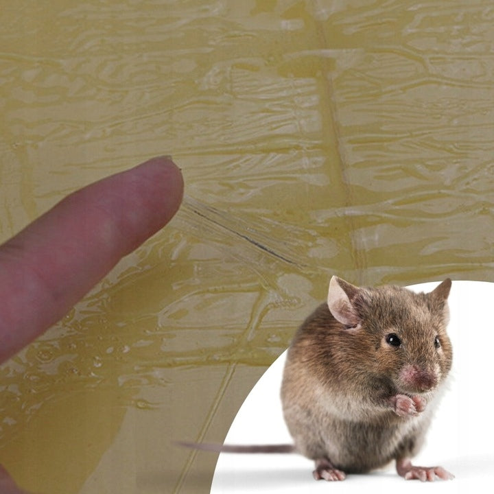 10x MOUSETRAP STICK PAW MOUSETRAP RATS ECO ON RODENTS FOR HOME Packaging status original