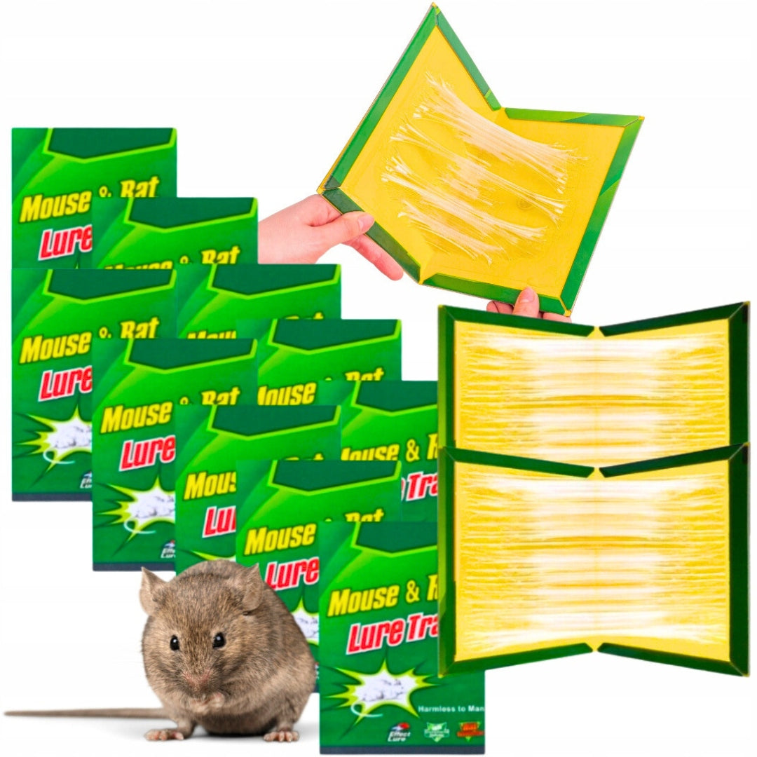 10x STRONG MOUSE STICK TRAP GLUE PAW RATS MOUSETRAP DERATIZATION Manufacturer code Pułapka lep na myszy 24 x 17 cm