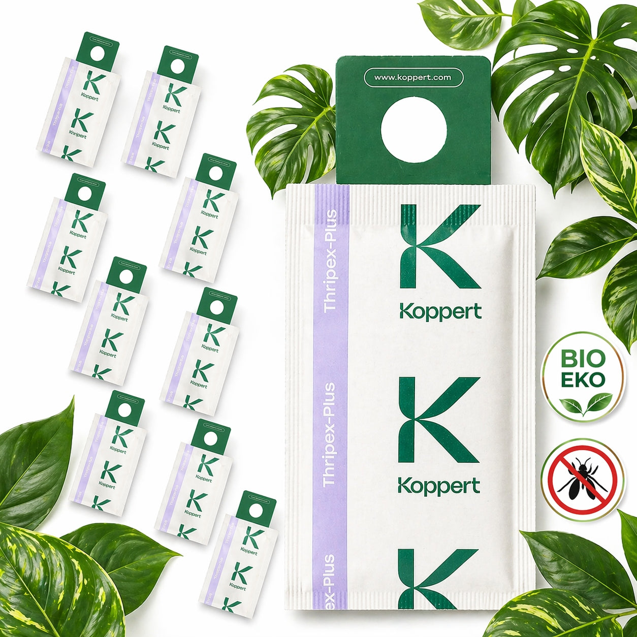 10x THRIPEX PLUS - Multi-eating benefactor FIGHTS THRIPS